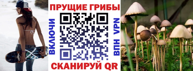 Псилоцибиновые грибы мухоморы  Янаул 